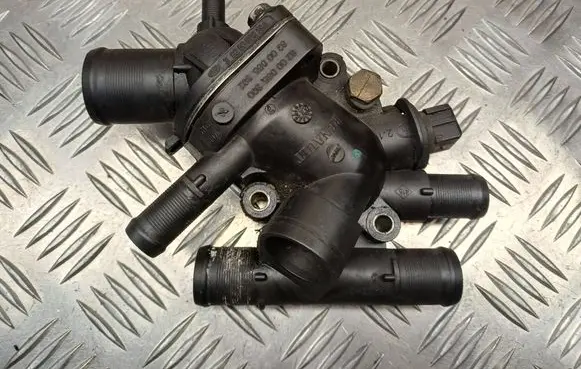 Thermostat/thermostat housing