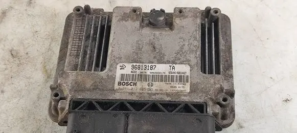 Opel Antara Engine control unit/module 96813187 5062220175 506222017