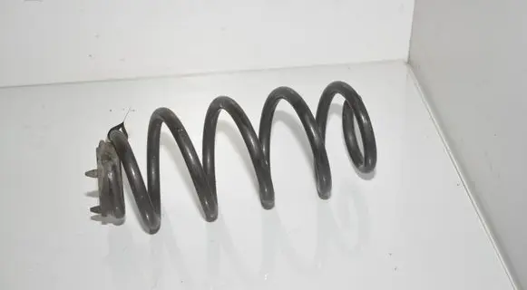 Rear coil spring