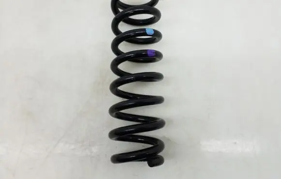 Rear coil spring