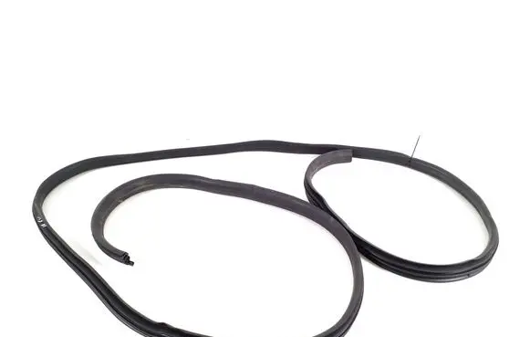 Renault Trafic III (X82) Front door rubber seal 808320619R