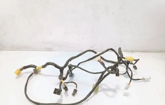 Tesla Model S Other wiring loom F181FPCAA01