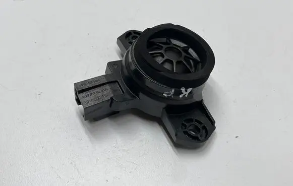 Front door high frequency speaker