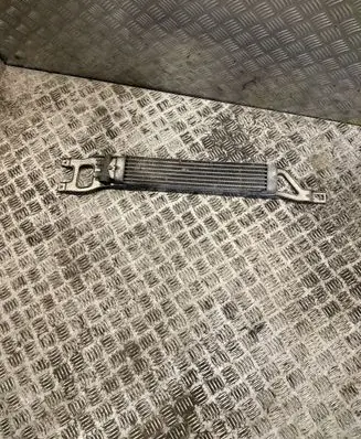 Mercedes-Benz A W169 Power steering radiator 1695000200 A1695000200