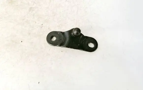 Chevrolet Orlando Rear door lower hinge