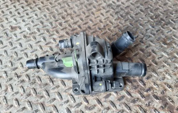 Thermostat/thermostat housing