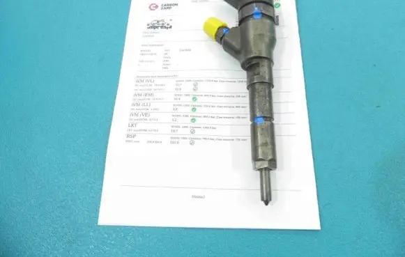 Peugeot Expert Fuel injector 0445110076 IMPRK1263600