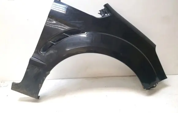 Ford S-MAX Fender
