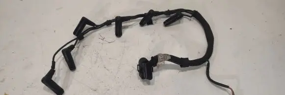 Engine installation wiring loom