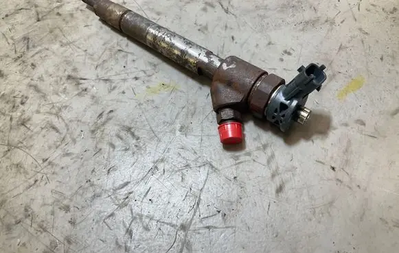 Peugeot Partner III Fuel injector 0445110955 9828959880