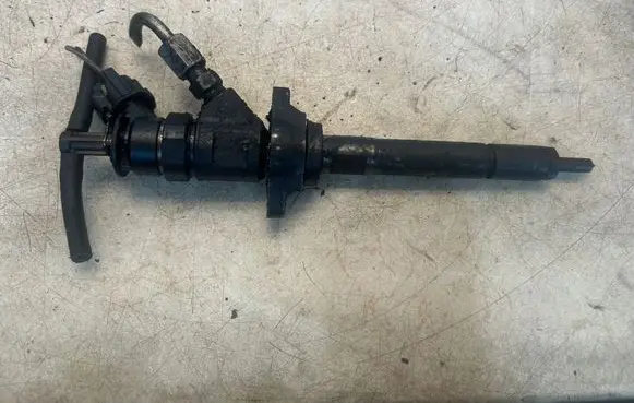 Citroen C3 Picasso Fuel injector 0445110311 620033