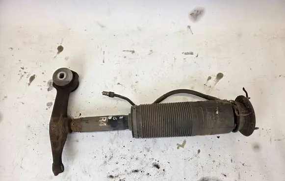 Mercedes-Benz CL C215 Front shock absorber/damper A2203208213
