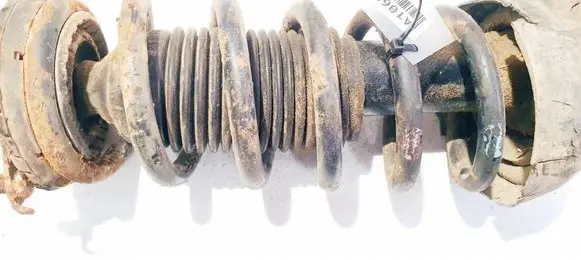 Rear coil spring