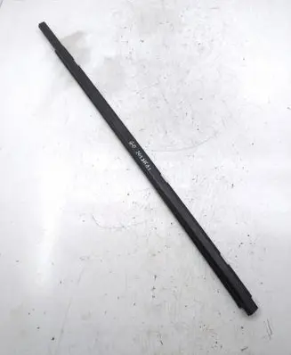 Rear door glass trim molding