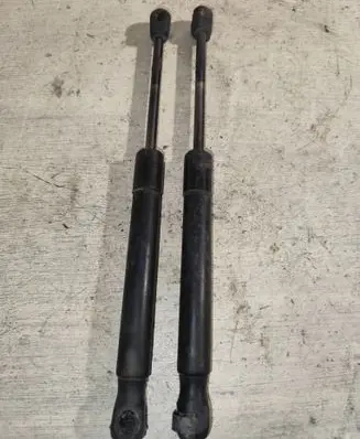 Tailgate/trunk strut/damper