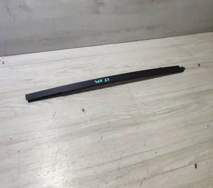 Renault Kangoo III Rear door trim (molding) 