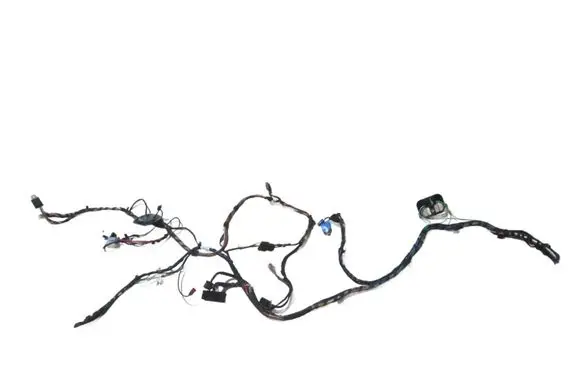 BMW X5 F15 Front door wiring loom 35XY66BMW