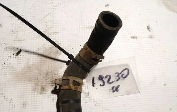 Honda Accord Engine coolant pipe/hose