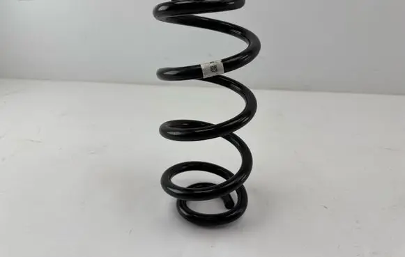 Rear coil spring