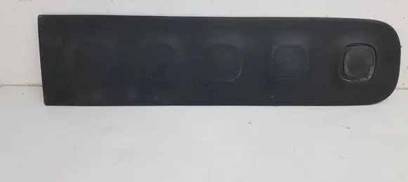 Front door trim (molding)