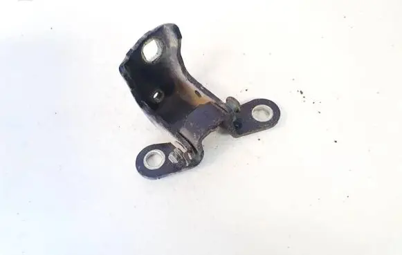 Rear door lower hinge