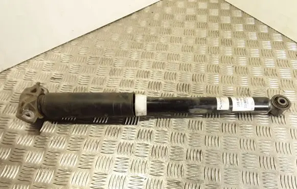 Opel Astra J Rear shock absorber/damper 814902007109