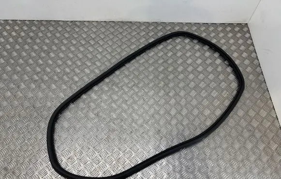 Seat Arona Rubber seal rear door 