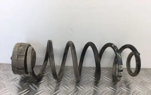 Rear coil spring