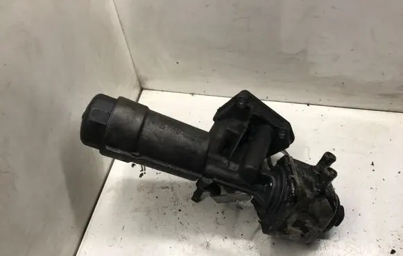 Volkswagen Golf IV Oil filter cover 038115389 038115466