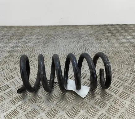 Ford Mustang VI Rear coil spring FR3C5560ED