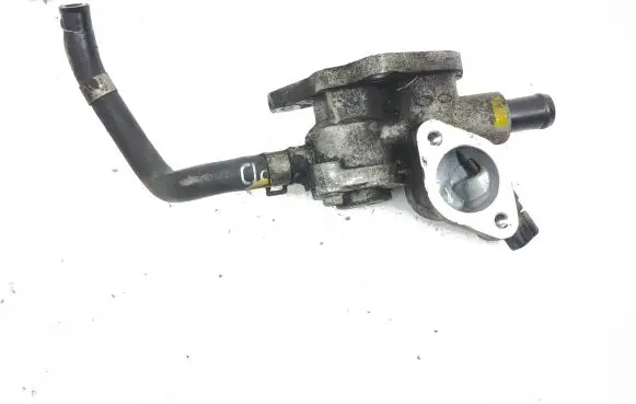 Thermostat/thermostat housing