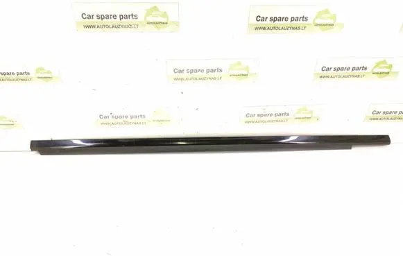 Front door glass trim molding