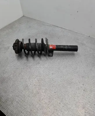 Volkswagen Tiguan Front shock absorber with coil spring 757326L L06518