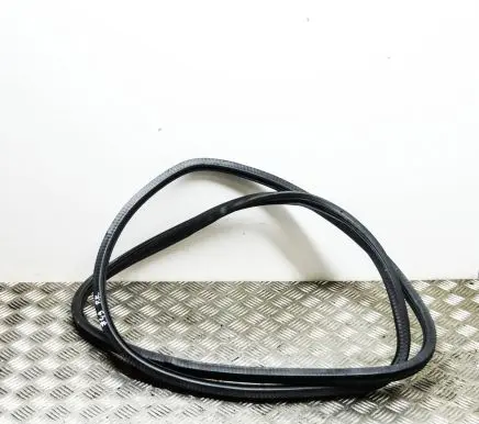 Audi A6 S6 C6 4F Rubber seal front coupe door 
