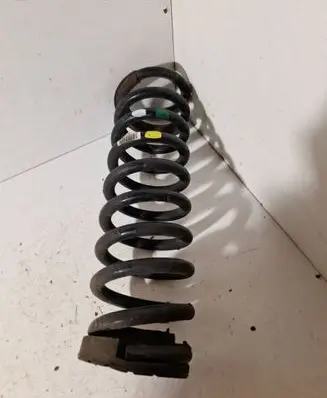 Rear coil spring