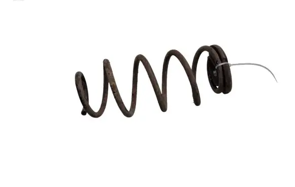 Suzuki Swift III Rear coil spring
