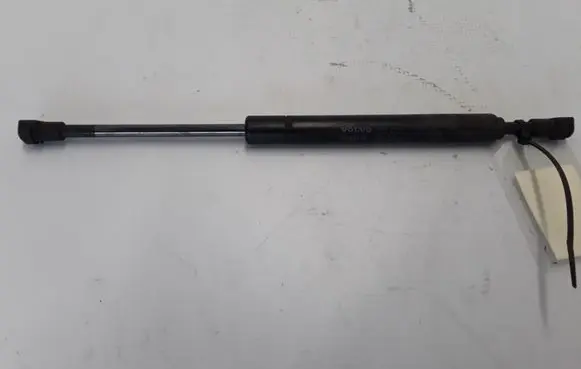 Tailgate strut