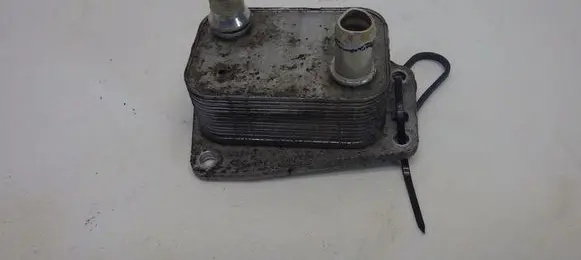 Citroen Jumpy Engine oil radiator 