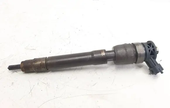 Nissan Qashqai+2 Fuel injector H8201055367 0445110414