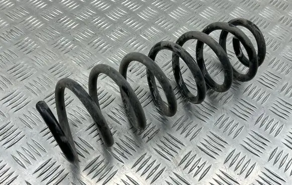 Rear coil spring