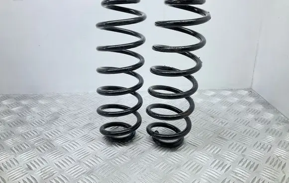 Volkswagen Tiguan Rear coil spring 79576 T1015418