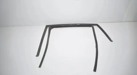 BMW X6 F16 Rubber seal rear door window/glass 7317813 51357317813