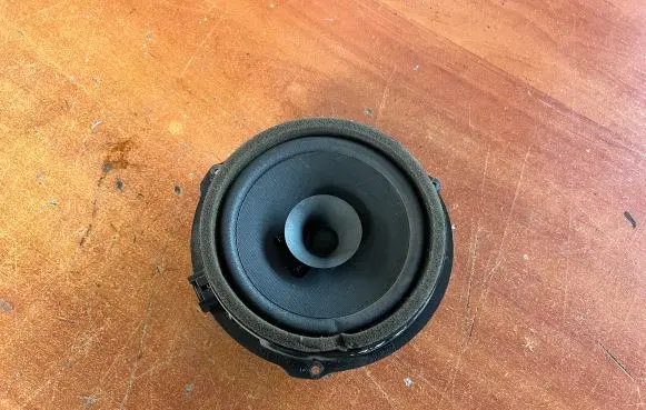Rear door speaker