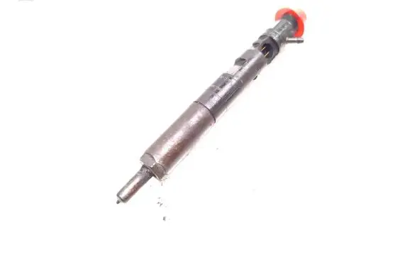 Nissan Note (E11) Fuel injector 166001137R 28232251 H8200421897
