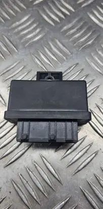 Peugeot 307 Fuel injection pump control unit/module 240107