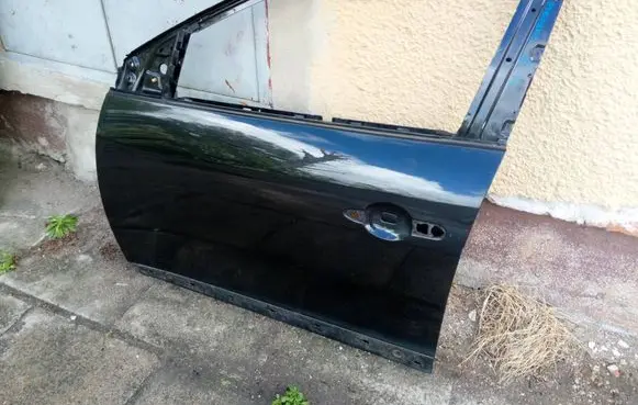 Renault Megane III Front door NE68461