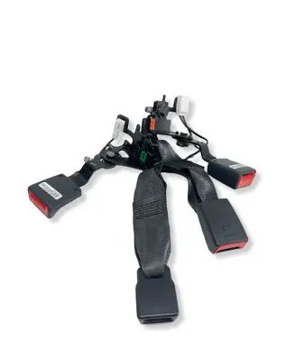 KIA Niro Rear seatbelt buckle 