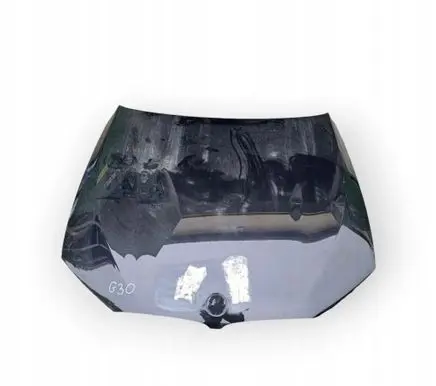 BMW 5 G30 G31 G38 Engine bonnet/hood