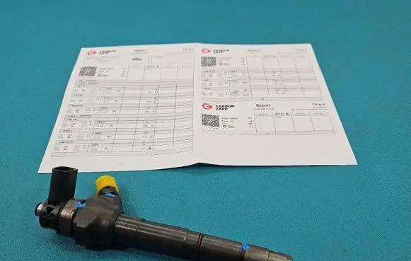 Volkswagen PASSAT B7 Fuel injector 0445110369 IMPRK1502278