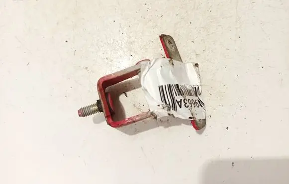 Tailgate/trunk/boot hinge